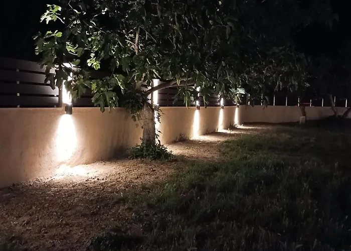 Figtree Nest Ormos Panagias