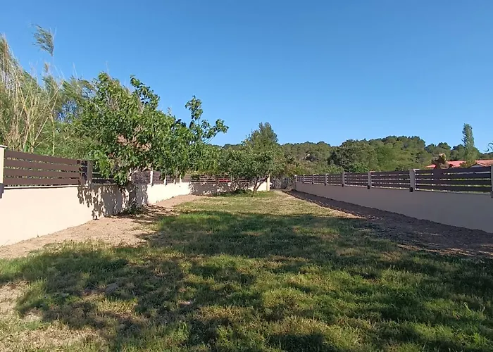 Figtree Nest Tatil Evi