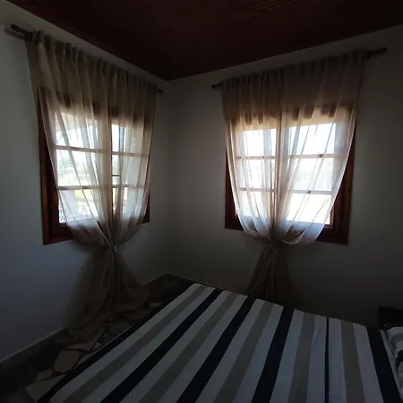 Figtree Nest أورموس باناجياس