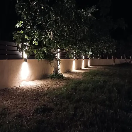 Figtree Nest Ormos Panagias