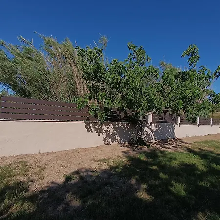 Figtree Nest Ormos Panagias